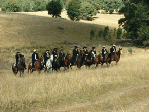 McCormacks Mountain Valley Trail Rides - Mackay Tourism