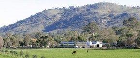 Blue Gum Farm - Mackay Tourism 1