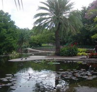 Brisbane City Botanic Gardens - Mackay Tourism