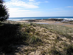 Deepwater National Park - Mackay Tourism 0