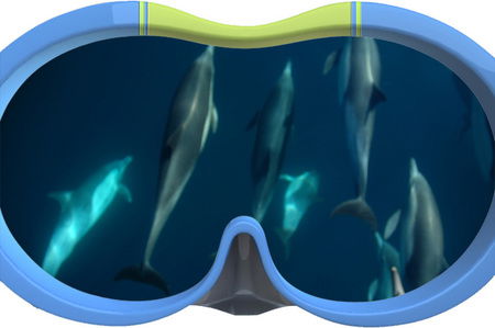 Dolphin Swim Australia - Mackay Tourism 3
