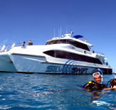 Silver Swift - Mackay Tourism