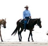 Ride the Beach - Mackay Tourism
