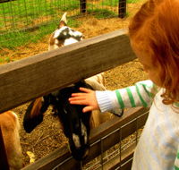 Collingwood Children's Farm - Mackay Tourism