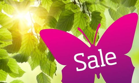 Wintergarden Shopping Centre - Mackay Tourism 0