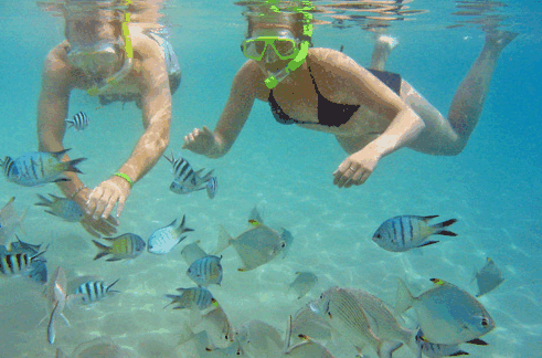Australian Kayaking Adventures - Mackay Tourism 2