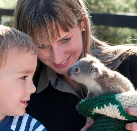 Australian Reptile Park - Mackay Tourism 1