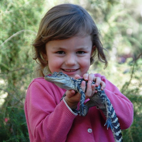 Australian Reptile Park - Mackay Tourism 2
