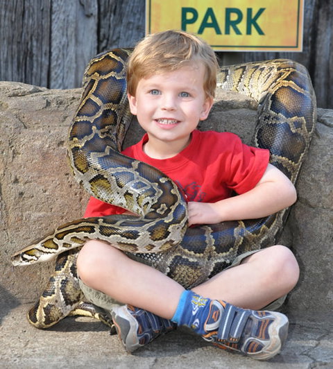 Australian Reptile Park - Mackay Tourism 3