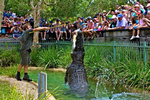 Australian Reptile Park - Mackay Tourism 4