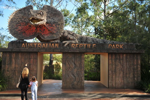 Australian Reptile Park - Mackay Tourism 5