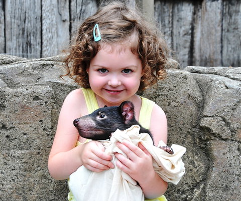 Australian Reptile Park - Mackay Tourism 8