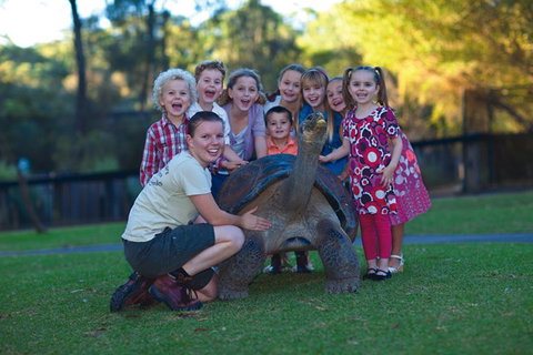 Australian Reptile Park - Mackay Tourism 11
