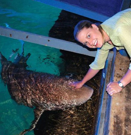 National Zoo & Aquarium - Mackay Tourism 7