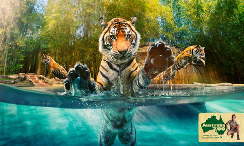 Australia Zoo - Mackay Tourism 9