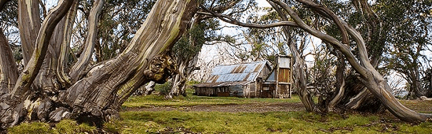 High Country Scenic Tours - Mackay Tourism