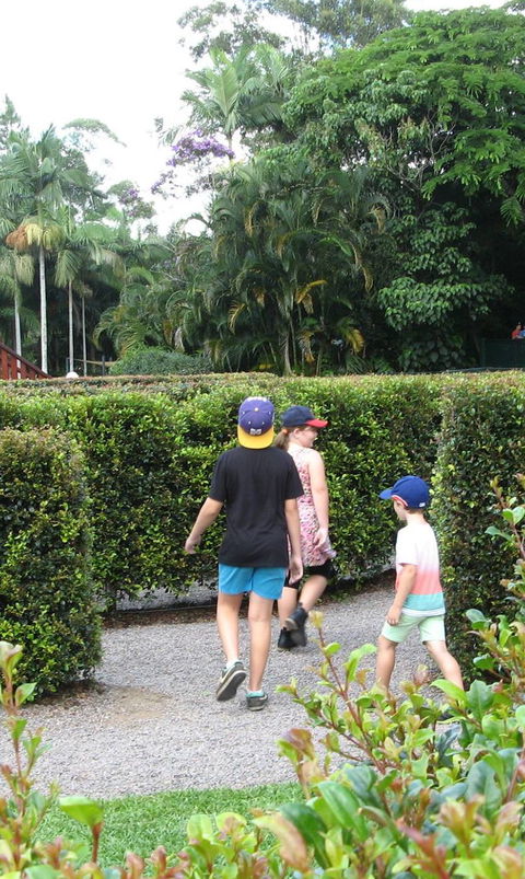 Bellingham Maze - Mackay Tourism 2