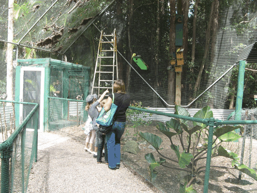 Bellingham Maze - Mackay Tourism 7
