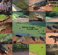 The Malcolm Douglas Crocodile Park - Mackay Tourism