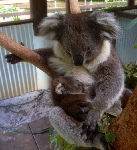 Outback Splash - Mackay Tourism 3