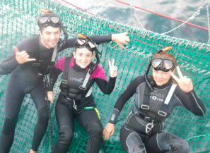 Dolphin Swim Australia - Mackay Tourism 7