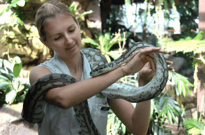 Cairns Wildlife Dome - Mackay Tourism 2