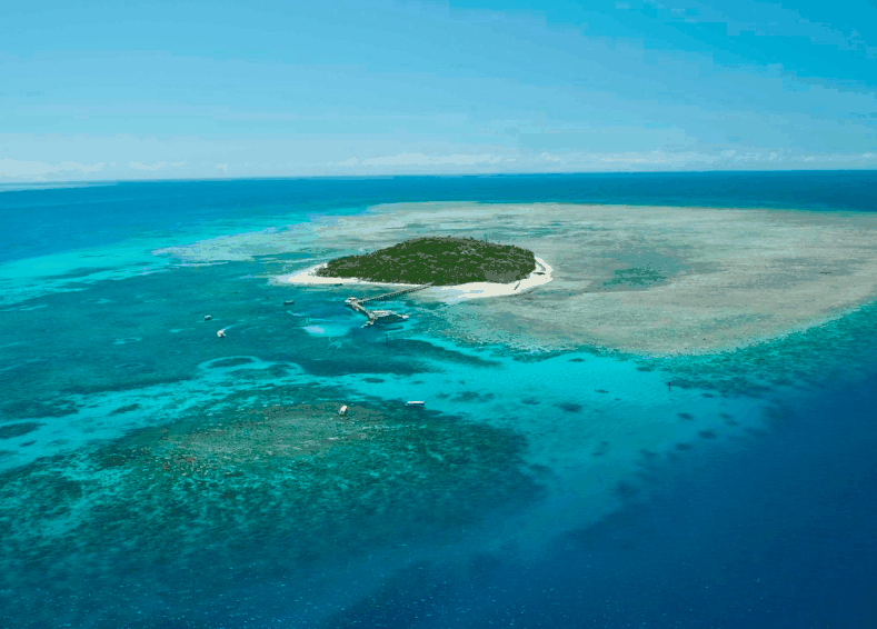Big Cat Green Island Reef Cruises - Mackay Tourism 1