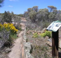 Christmas Rock Walk - Mackay Tourism