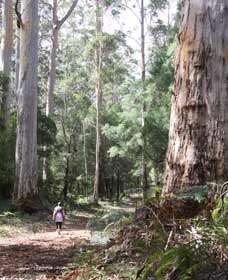  Mackay Tourism