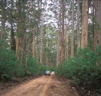 Boranup Drive - Mackay Tourism