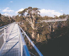  Mackay Tourism