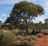 Karlkurla Bushland Park - Mackay Tourism