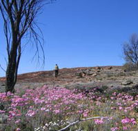 Talgomine Reserve - Mackay Tourism