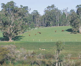 Scenic Drives - Bunbury Collie Donnybrook - Mackay Tourism 0