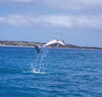 Steep Point - Mackay Tourism