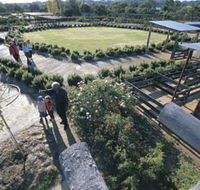 Kojonup Rose Maze - Mackay Tourism