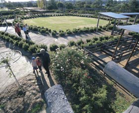 Kojonup Rose Maze - Mackay Tourism 0