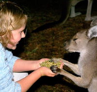 Discovery Bay's Walk on the Wild Side - Mackay Tourism