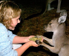 Discovery Bay's Walk On The Wild Side - Mackay Tourism 0