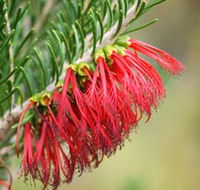 Ethel Daw Scenic Drive - Mackay Tourism
