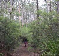 Margaret River Rails Trail - Mackay Tourism