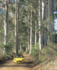 Scotsdale Tourist Drive - Mackay Tourism 0