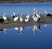 Peel Region Canoe Trails - Mackay Tourism