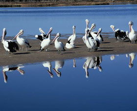 Peel Region Canoe Trails - Mackay Tourism 0