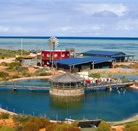 Ocean Park Aquarium - Mackay Tourism