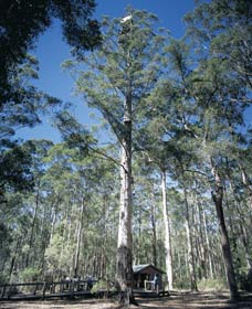 Yanmah WA Mackay Tourism