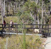 Forest Path Crooked Brook - Mackay Tourism
