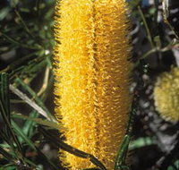 Moore River National Park - Mackay Tourism