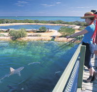Shark Bay Marine Park - Mackay Tourism