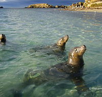 Shoalwater Islands Marine Park - Mackay Tourism